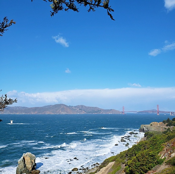 Meet your Posher, Suki - Picture 1 of 1